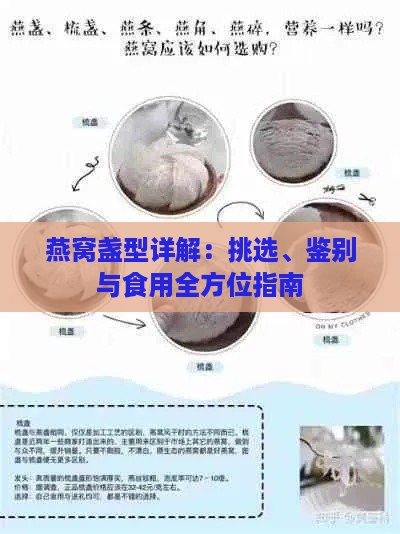 燕窝盏型详解：挑选、鉴别与食用全方位指南