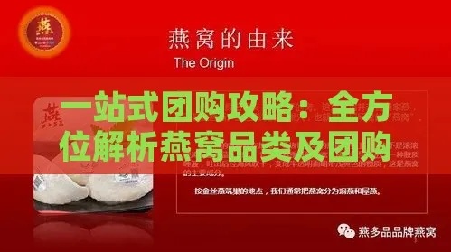 '精选燕窝——本地知名店铺推荐指南'