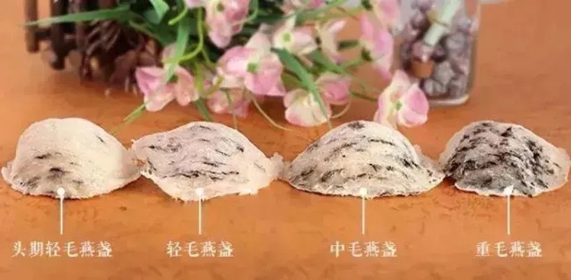 燕窝燃烧后的形态变化解析