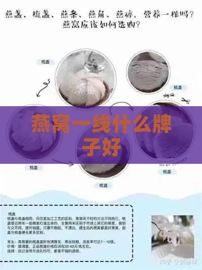 燕窝一线什么牌子好