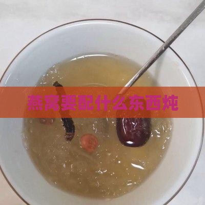 燕窝要配什么东西炖