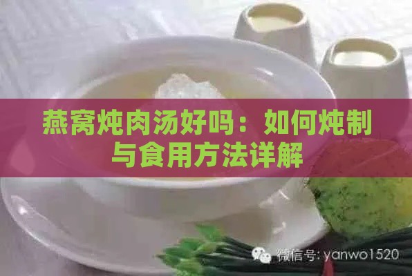 燕窝炖肉汤好吗：如何炖制与食用方法详解