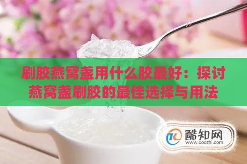 刷胶燕窝盏用什么胶更好：探讨燕窝盏刷胶的更佳选择与用法