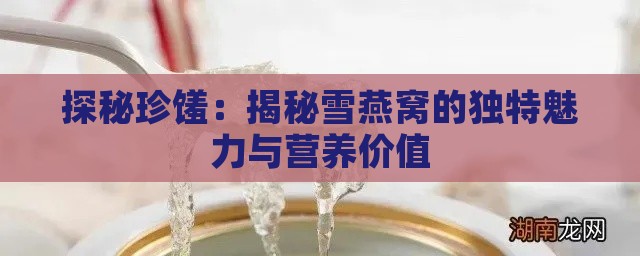 探秘珍馐：揭秘雪燕窝的独特魅力与营养价值