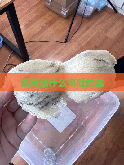 燕窝是什么鸟吐的丝