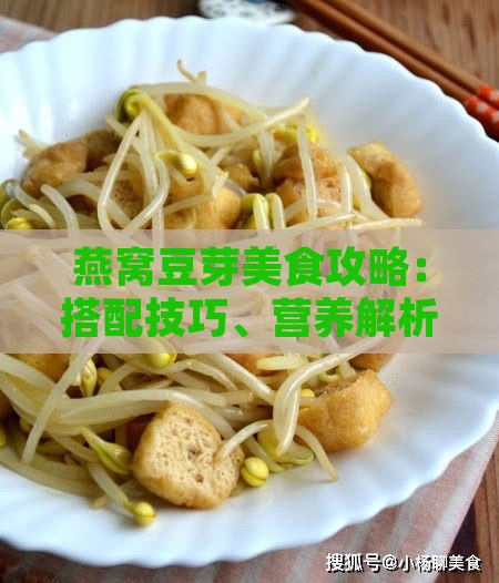 燕窝豆芽美食攻略：搭配技巧、营养解析与烹饪方法全解析