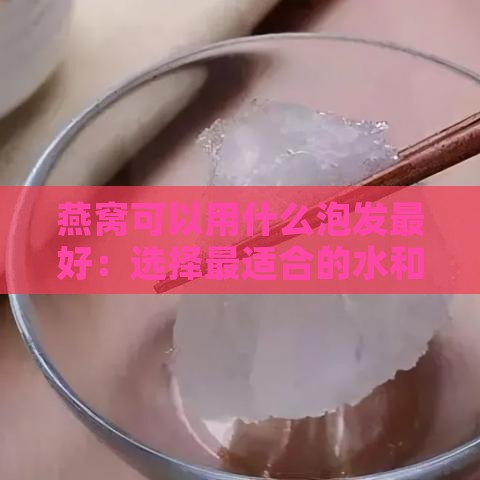 燕窝可以用什么泡发更好：选择最适合的水和方法以达到更佳口感与营养保存