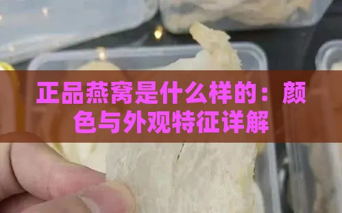 正品燕窝是什么样的：颜色与外观特征详解