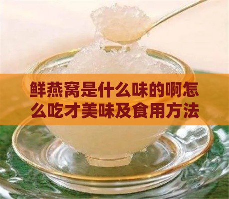 鲜燕窝是什么味的啊怎么吃才美味及食用方法