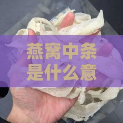 燕窝中条是什么意思