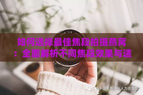 如何选择更佳焦段拍摄燕窝：全面解析不同焦段效果与适用场景