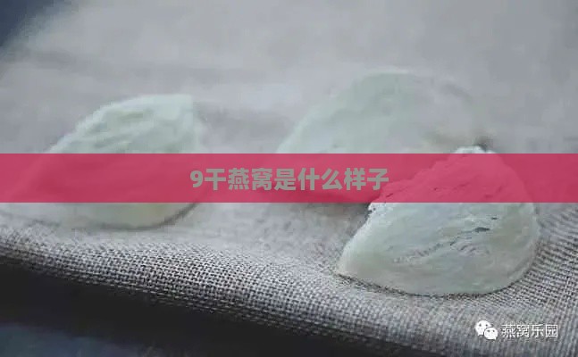 9干燕窝是什么样子