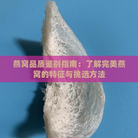 燕窝品质鉴别指南：了解完美燕窝的特征与挑选方法