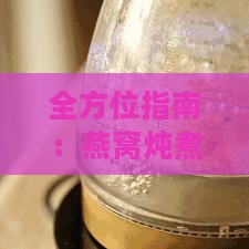 全方位指南：燕窝炖煮方法与更佳搭配食材解析