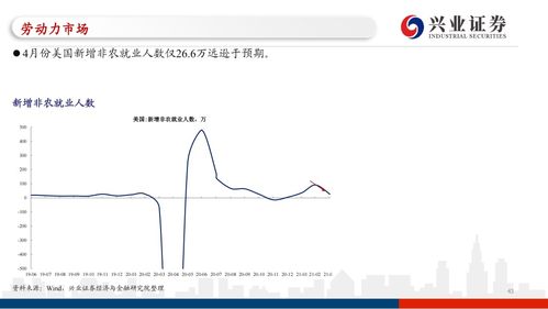 猴菇燕窝的成分揭秘：深入解析其制作原料与营养价值