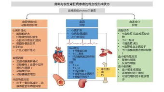 燕窝的外观特征与形成过程解析：揭秘燕窝的形态、成分及采集背后的故事