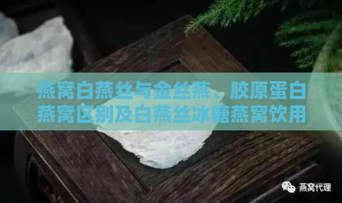 燕窝白燕丝与金丝燕、胶原蛋白燕窝区别及白燕丝冰糖燕窝饮用方法