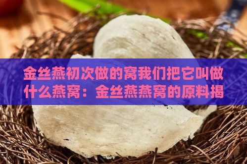 金丝燕初次做的窝我们把它叫做什么燕窝：金丝燕燕窝的原料揭秘