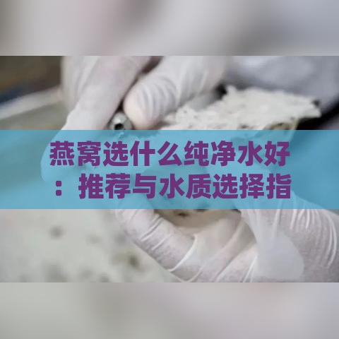 燕窝选什么纯净水好：推荐与水质选择指南