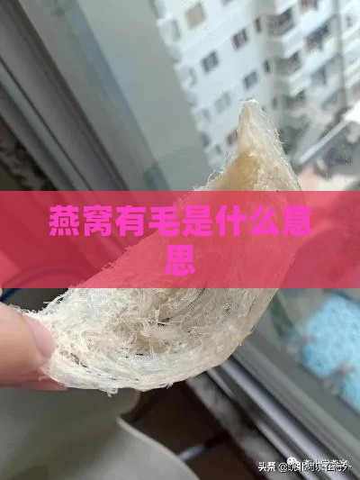 燕窝有毛是什么意思