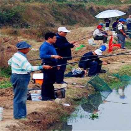 窝在哪买正宗正品及采摘地详述