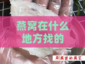 燕窝在什么地方找的