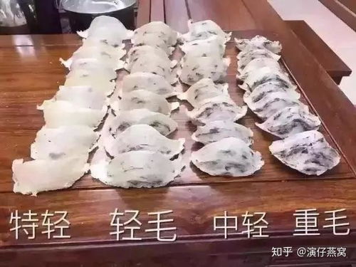 燕窝里小黑点是什么虫子：探究其来源与影响