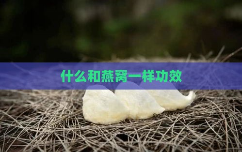 什么和燕窝一样功效