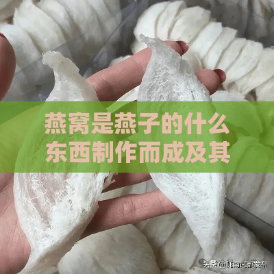 燕窝是燕子的什么东西制作而成及其产生过程