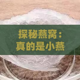 探秘燕窝：真的是小燕的唾液结晶吗？