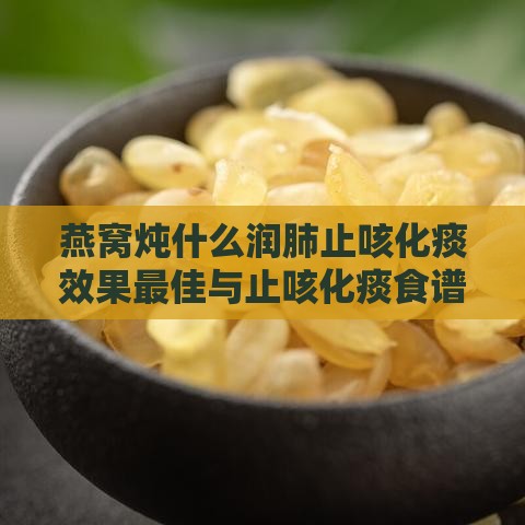 燕窝炖什么润肺止咳化痰效果更佳与止咳化痰食谱推荐