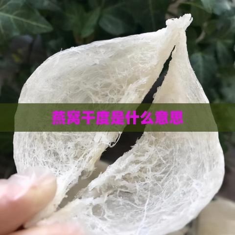 燕窝干度是什么意思