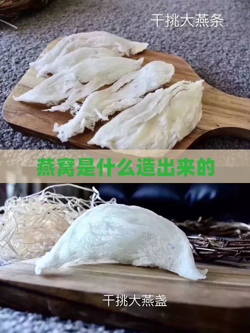 燕窝是什么造出来的