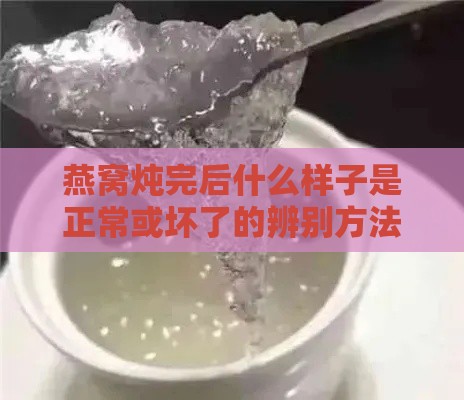 燕窝炖完后什么样子是正常或坏了的辨别方法