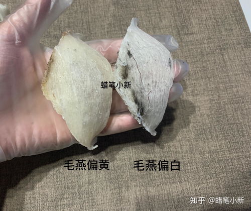 燕窝几A是什么区别