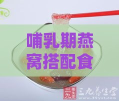 哺乳期燕窝搭配食谱大全：炖煮燕窝的多种美味做法与营养建议