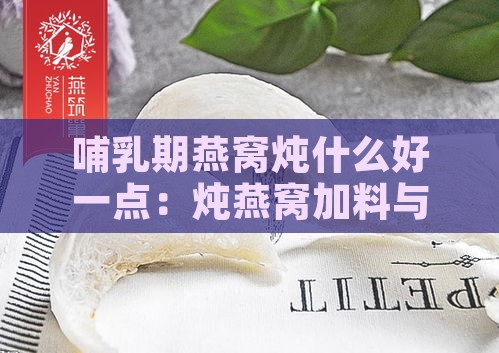 哺乳期燕窝炖什么好一点：炖燕窝加料与更佳吃法效果探讨