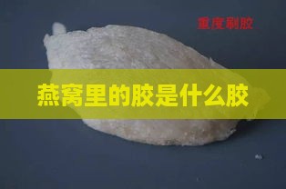 燕窝里的胶是什么胶