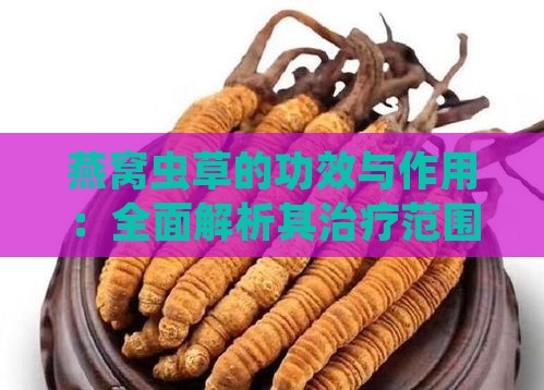 燕窝虫草的功效与作用：全面解析其治疗范围及适用症状