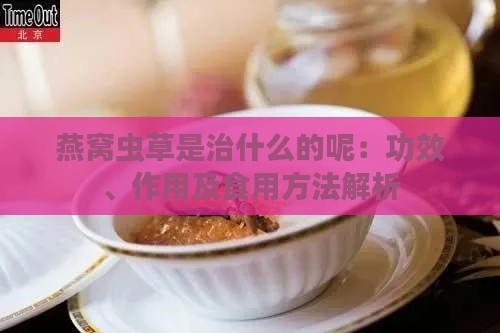 燕窝虫草是治什么的呢：功效、作用及食用方法解析