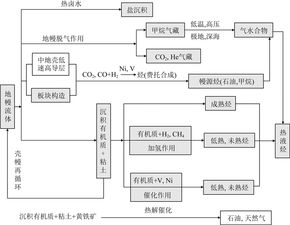 探究燕窝中小黑点的成因与正常性分析