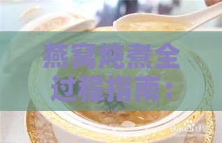 燕窝炖煮全过程指南：炖至完美状态的关键步骤与注意事项