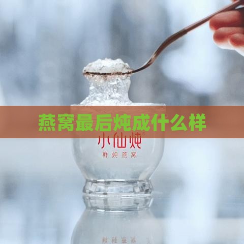 燕窝最后炖成什么样