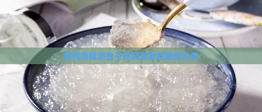 如何选择适合干燕窝泡发的更佳水质