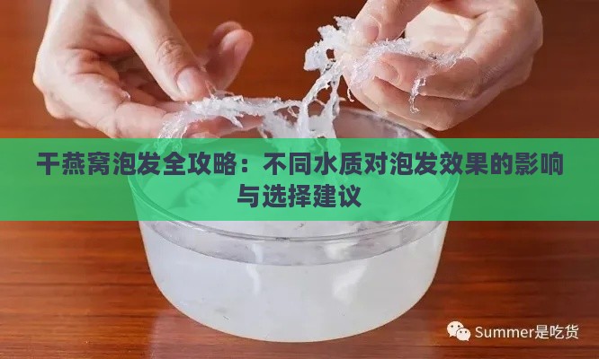 干燕窝泡发全攻略：不同水质对泡发效果的影响与选择建议