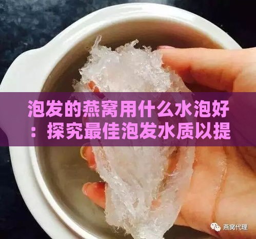 泡发的燕窝用什么水泡好：探究更佳泡发水质以提升口感与营养保留