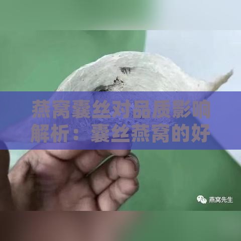 燕窝囊丝对品质影响解析：囊丝燕窝的好处与潜在风险分析