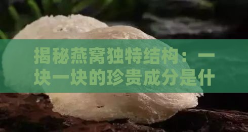 揭秘燕窝独特结构：一块一块的珍贵成分是什么？