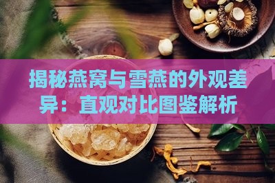 揭秘燕窝与雪燕的外观差异：直观对比图鉴解析