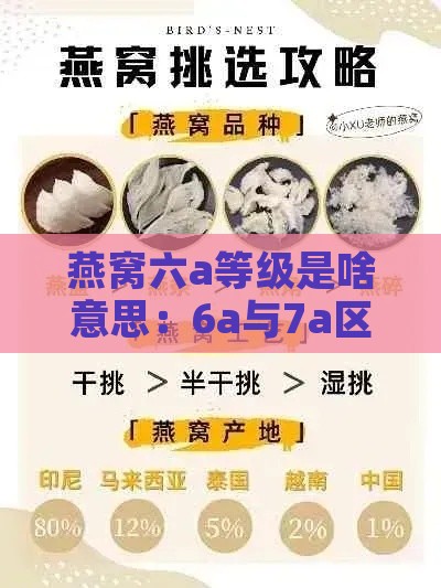 燕窝六a等级是啥意思：6a与7a区别，5a与6a对比解析